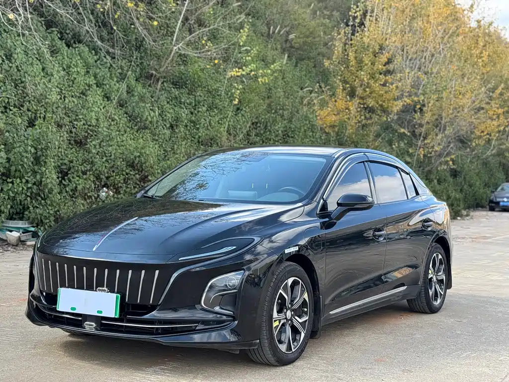 Hongqi HONGQI E QM5