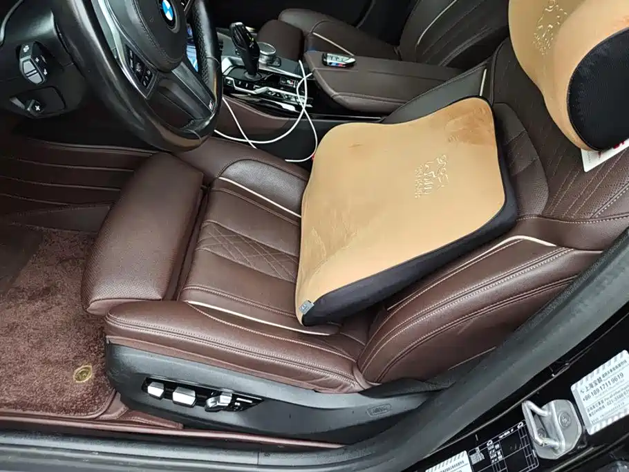 BMW 5 Series 5 2021 530Li Premium M Sport