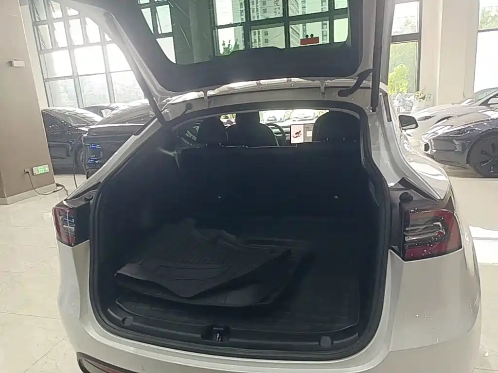 Tesla Model Y — миниатюра 19