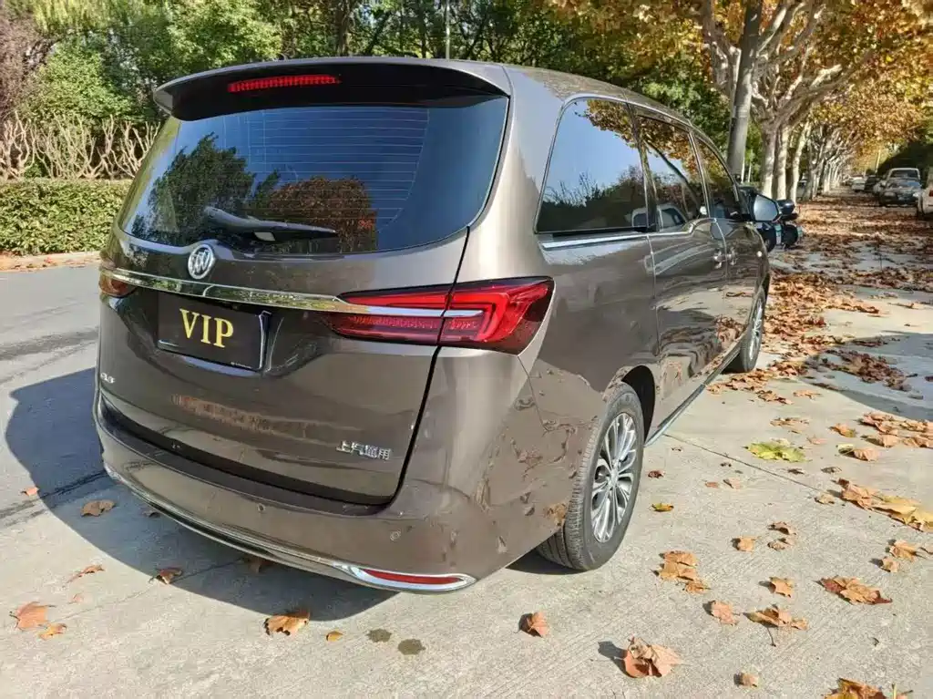 Buick GL8 — миниатюра 7