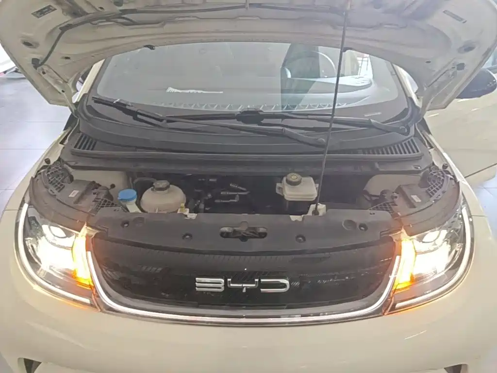 BYD Dolphin — миниатюра 20