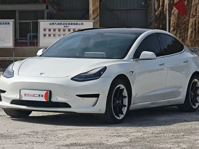 TESLA MODEL 3 2020