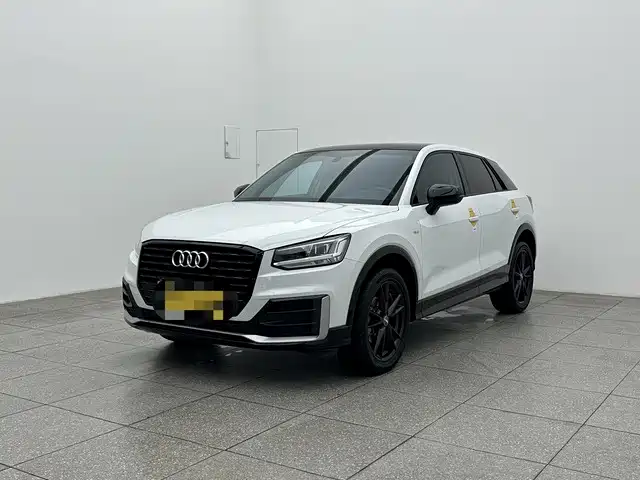Audi Q2L 2022