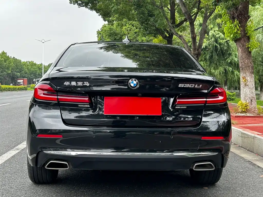 BMW 5 Series — миниатюра 5