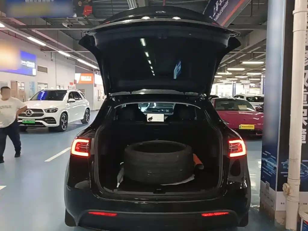 Tesla Model Y — миниатюра 19