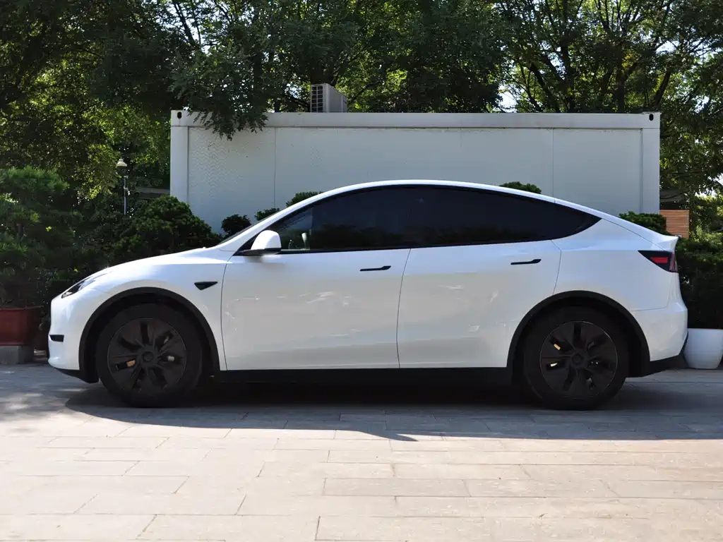 Tesla Model Y — миниатюра 5