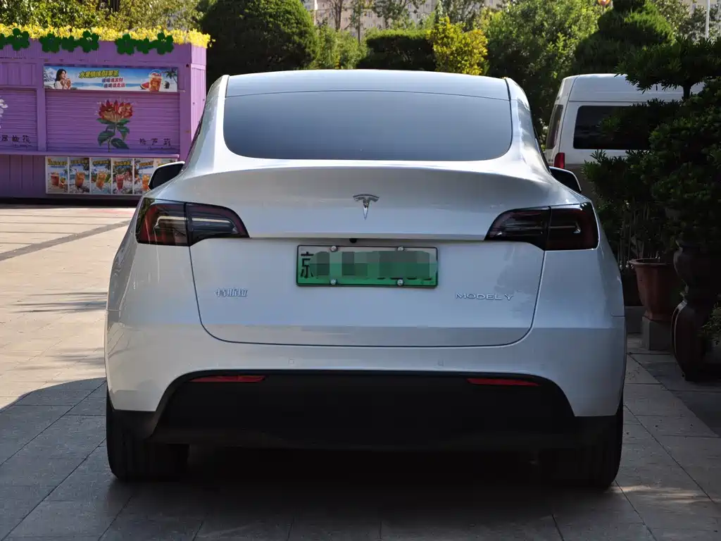 Tesla Model Y — миниатюра 4