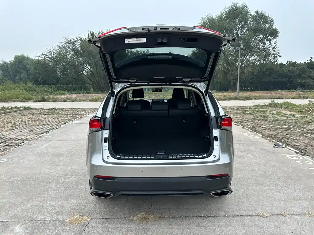 Lexus NX — миниатюра 8