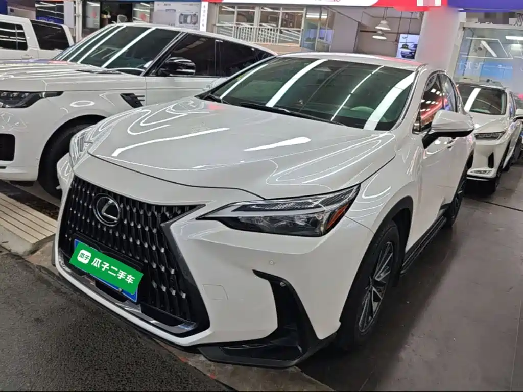Lexus NX — миниатюра 2