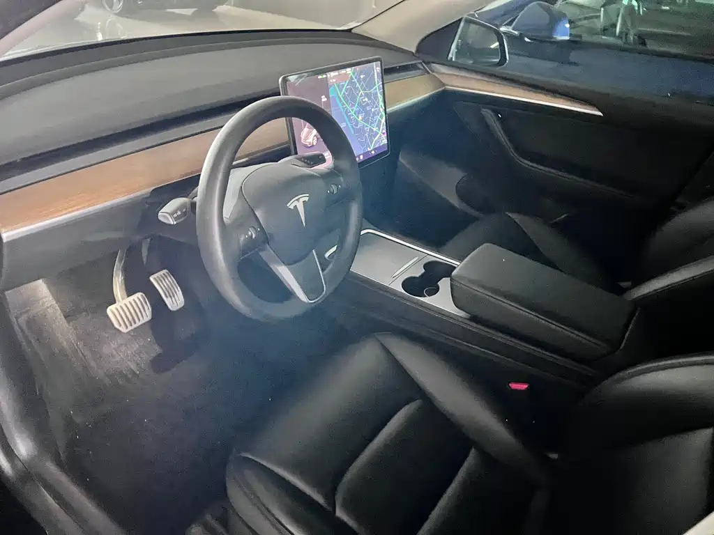 Tesla Model Y — миниатюра 5