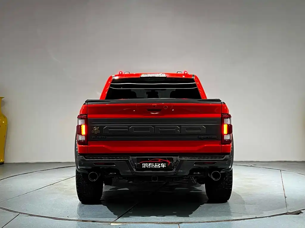 Ford F-150 Raptor — миниатюра 17
