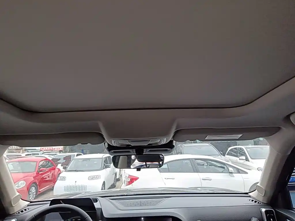 Haval Big Dog — миниатюра 18