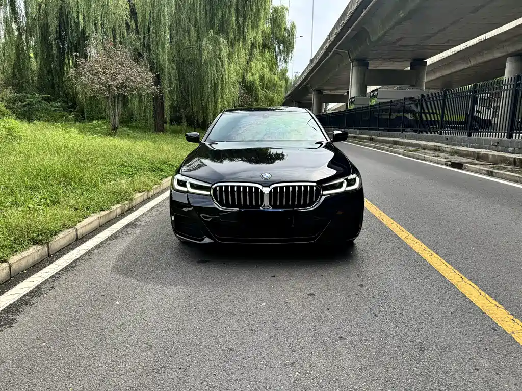 BMW 5 Series — миниатюра 2