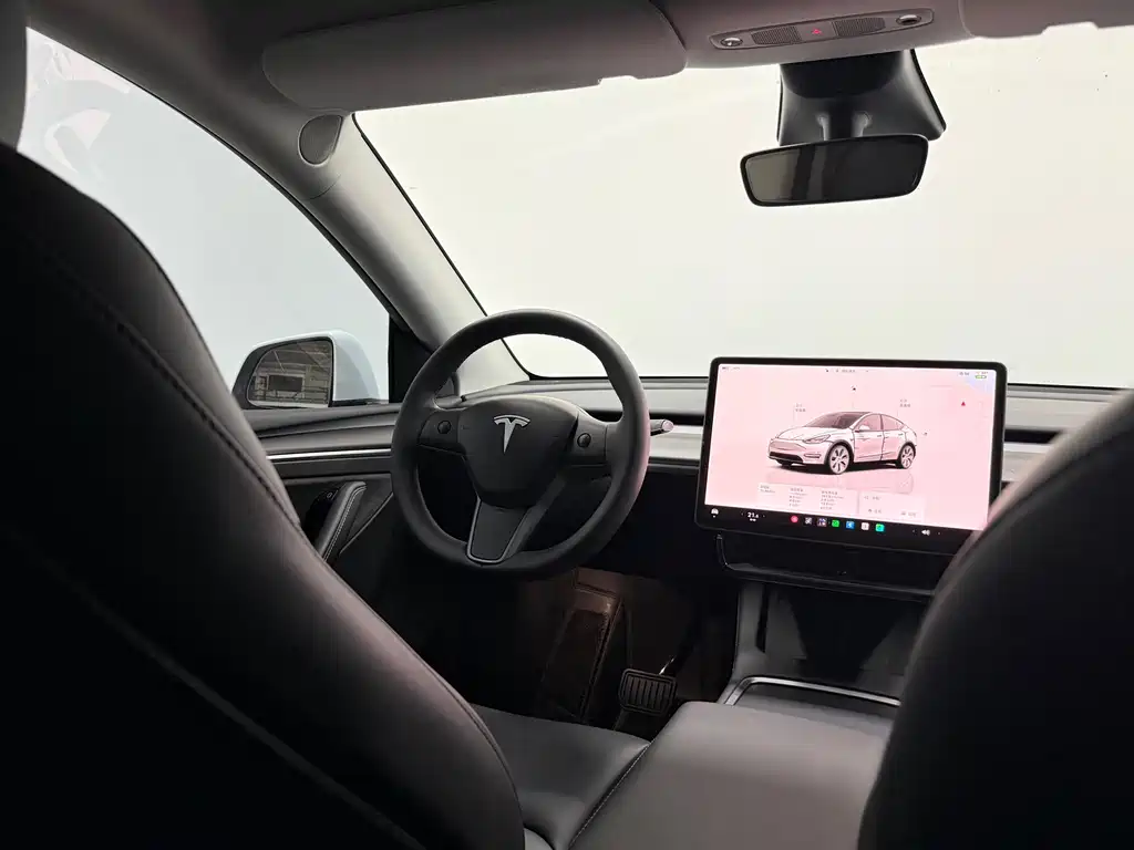 Tesla Model Y — миниатюра 10