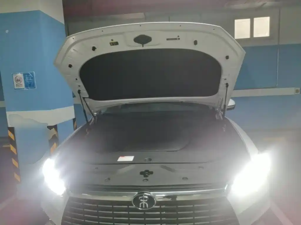 BYD Pro New Energy — миниатюра 20