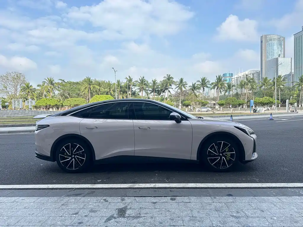 ARCFOX EXTREME FOX POLAR FOX ALPHA S5