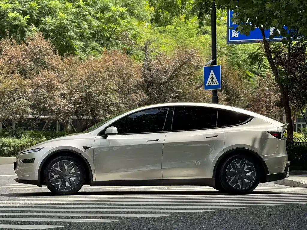 Tesla Model Y L — миниатюра 3