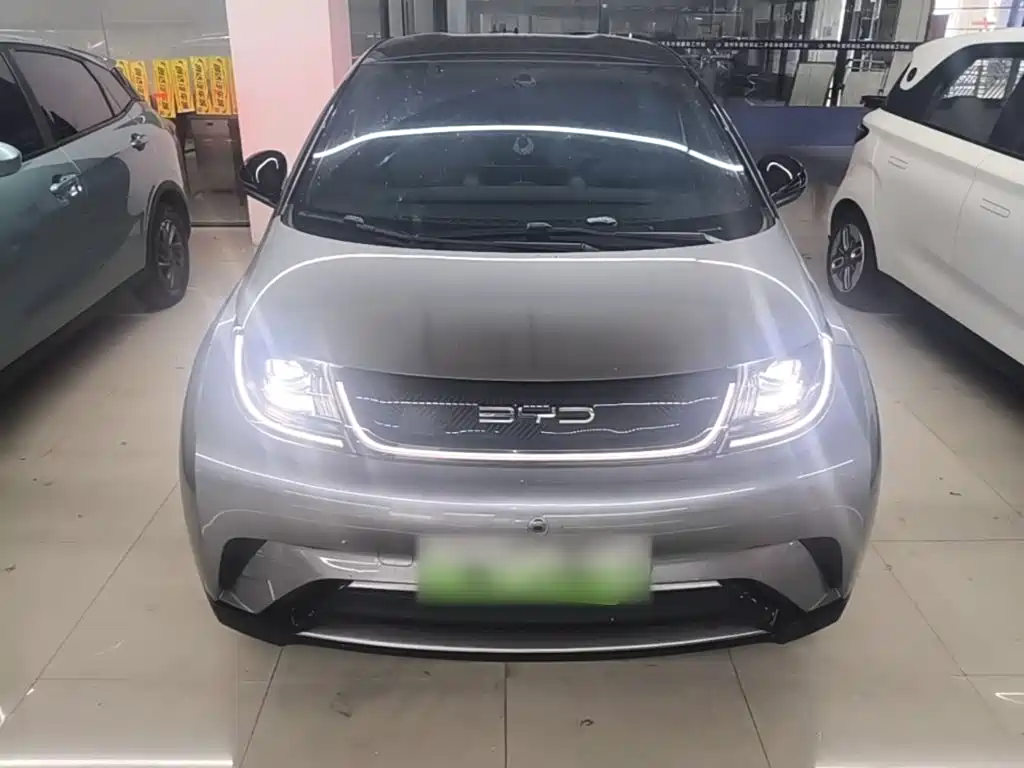 BYD Dolphin — миниатюра 3