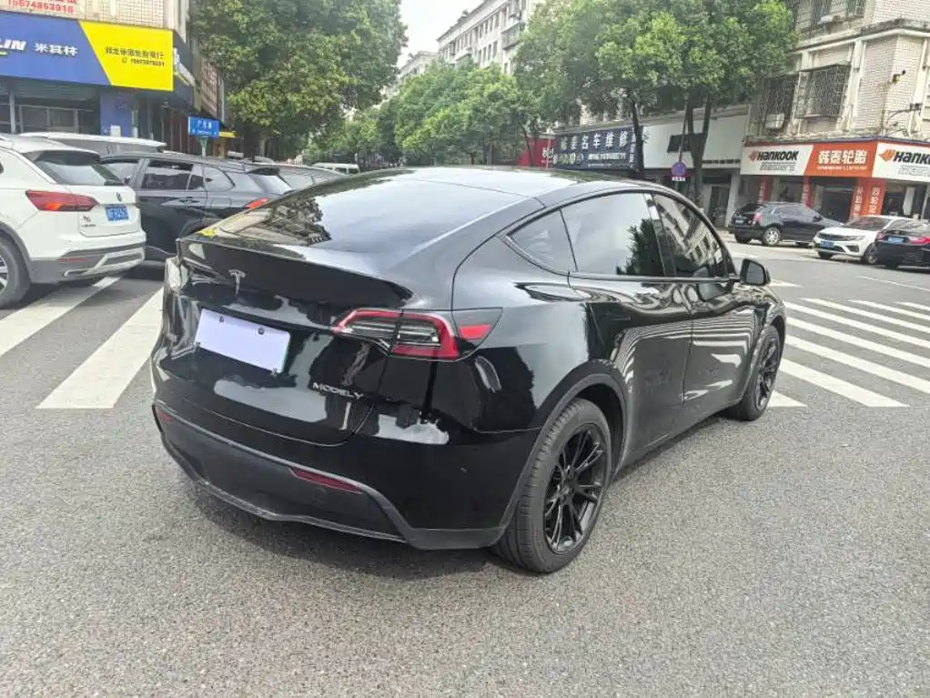 Tesla Model Y — миниатюра 6