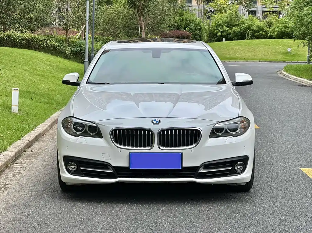 BMW 5 Series (Import) — миниатюра 2