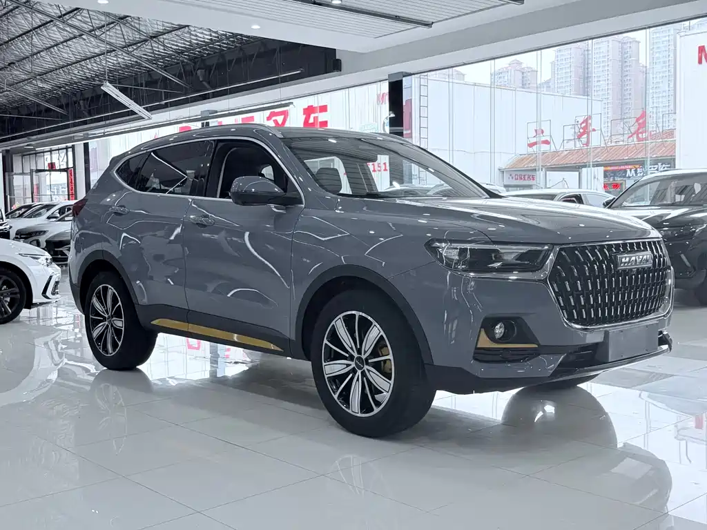 Haval H6 — миниатюра 3