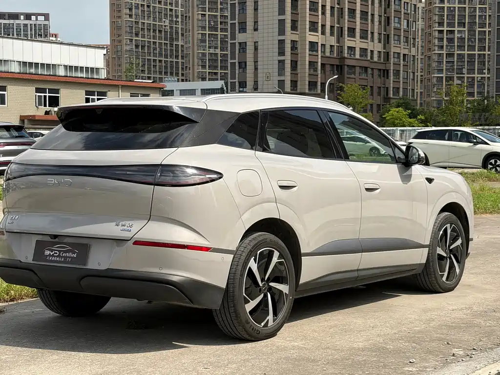 BYD Haisi 06 — миниатюра 4