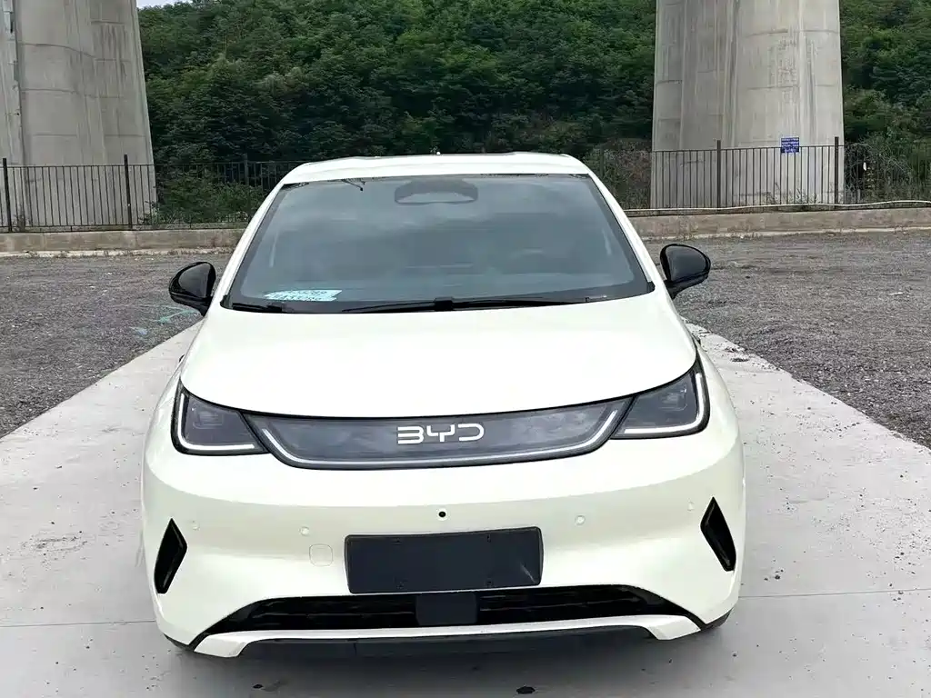 BYD Dolphin 2025 Smart Drive 420km Freedom