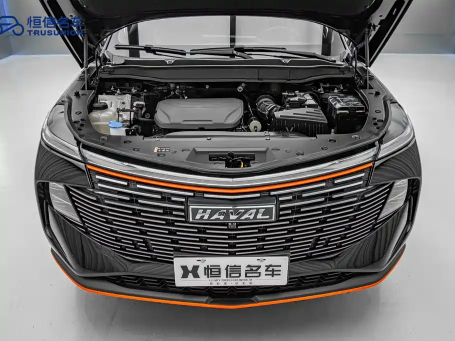 Haval Shenshou — миниатюра 21