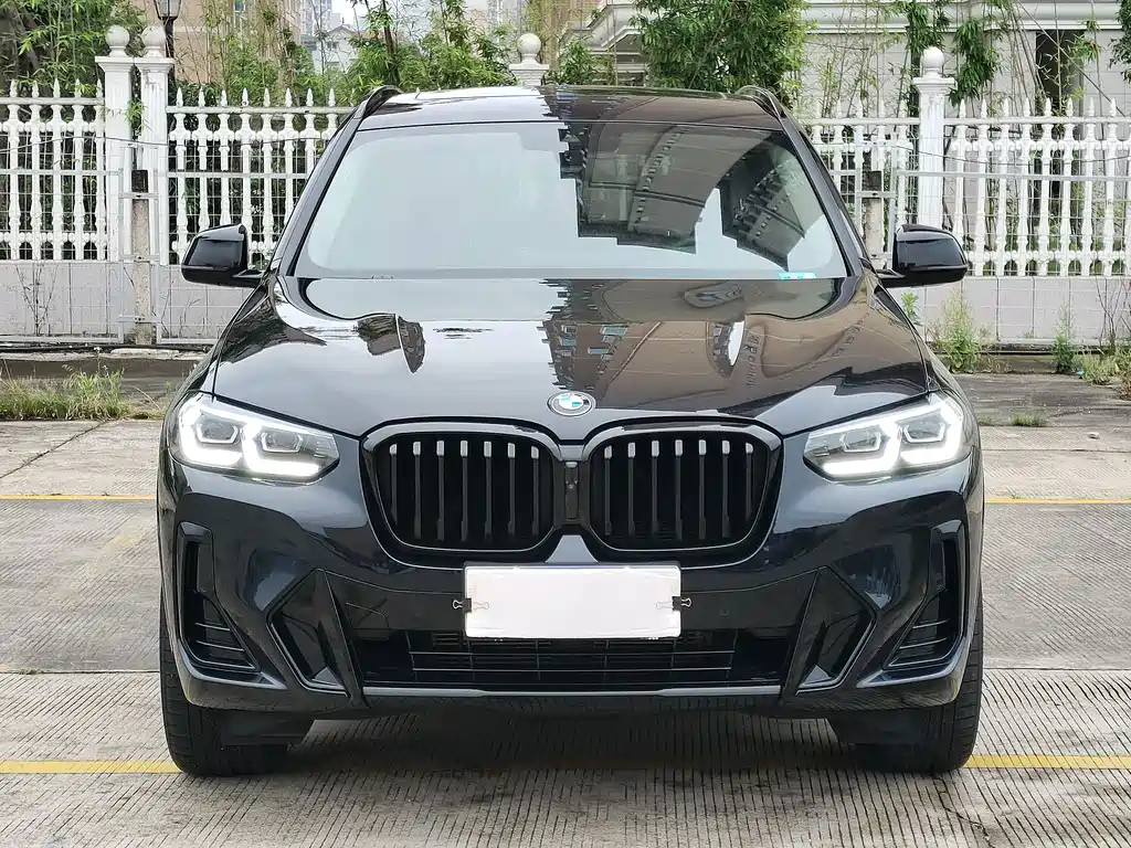 BMW X3 — миниатюра 6