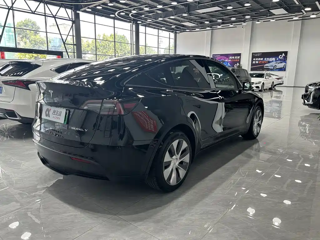 Tesla Model Y — миниатюра 4