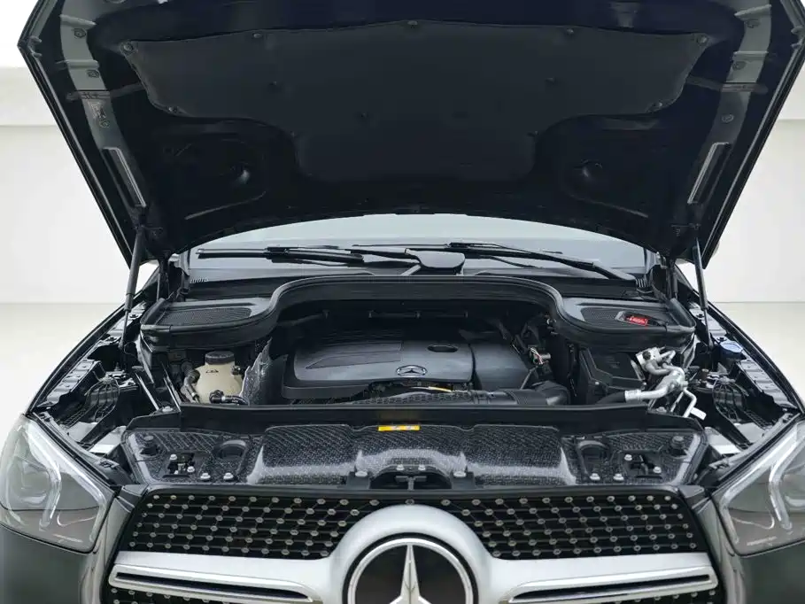Mercedes-Benz 奔驰GLE(进口) — миниатюра 6