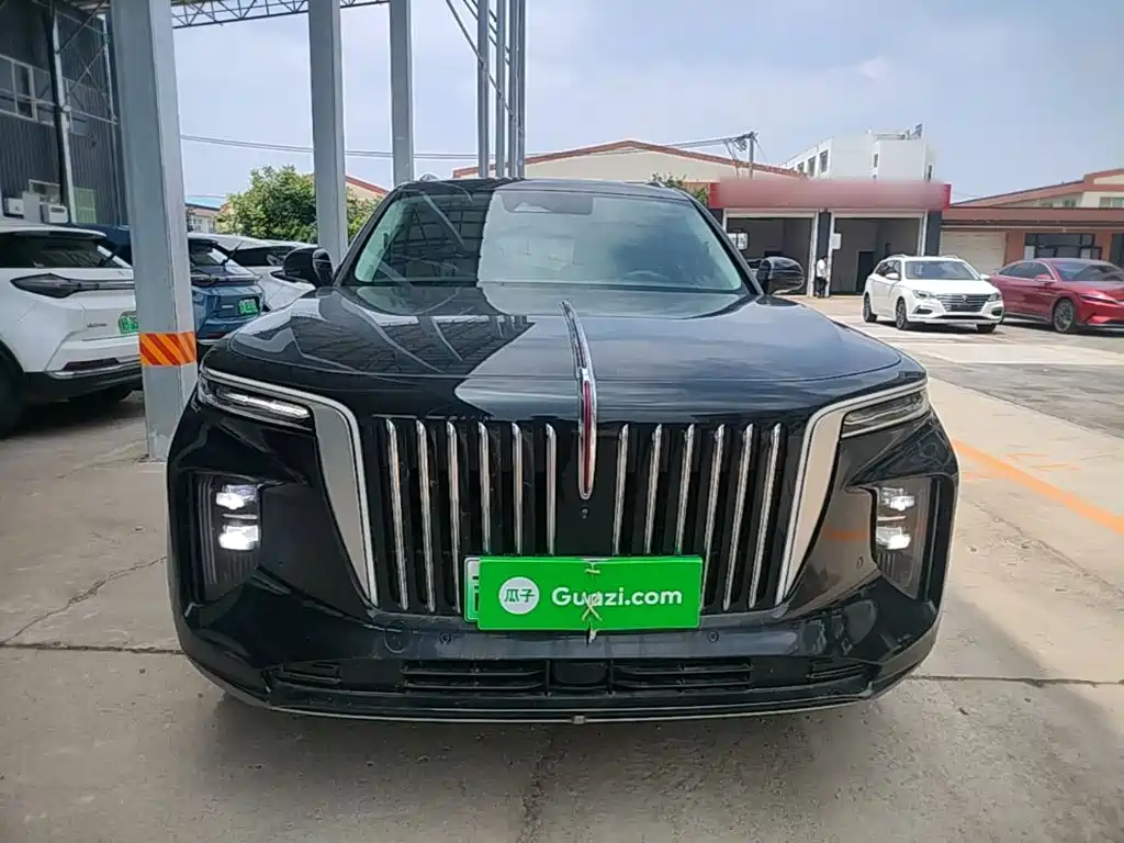 Hongqi E-HS9 2022 660km мест