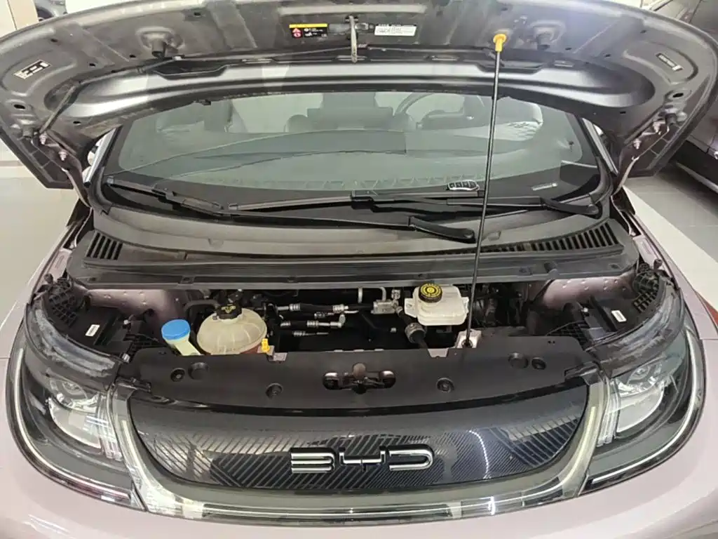 BYD Dolphin — миниатюра 20