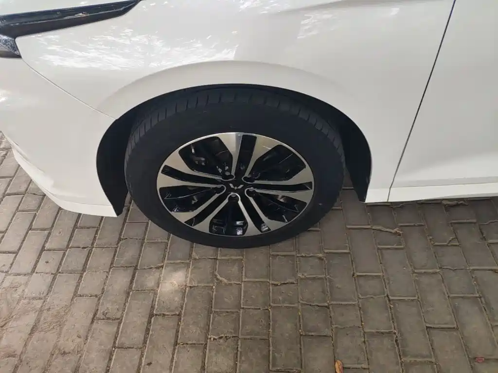 Wuling Victory — миниатюра 23