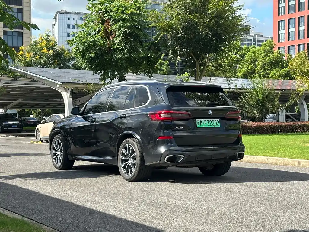 BMW X5 New Energy (Import) — миниатюра 6