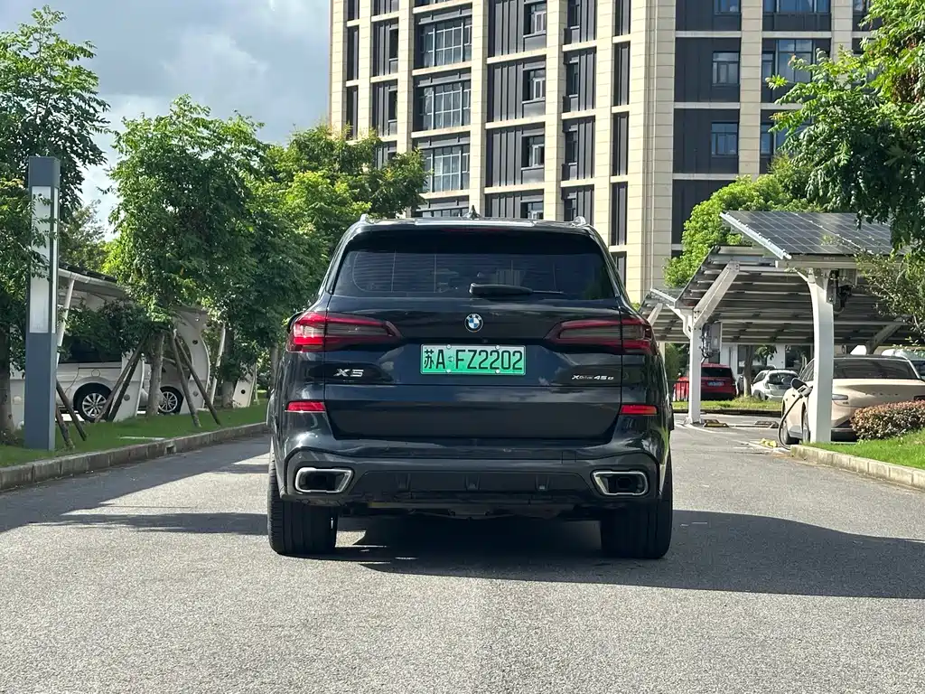BMW X5 New Energy (Import) — миниатюра 5
