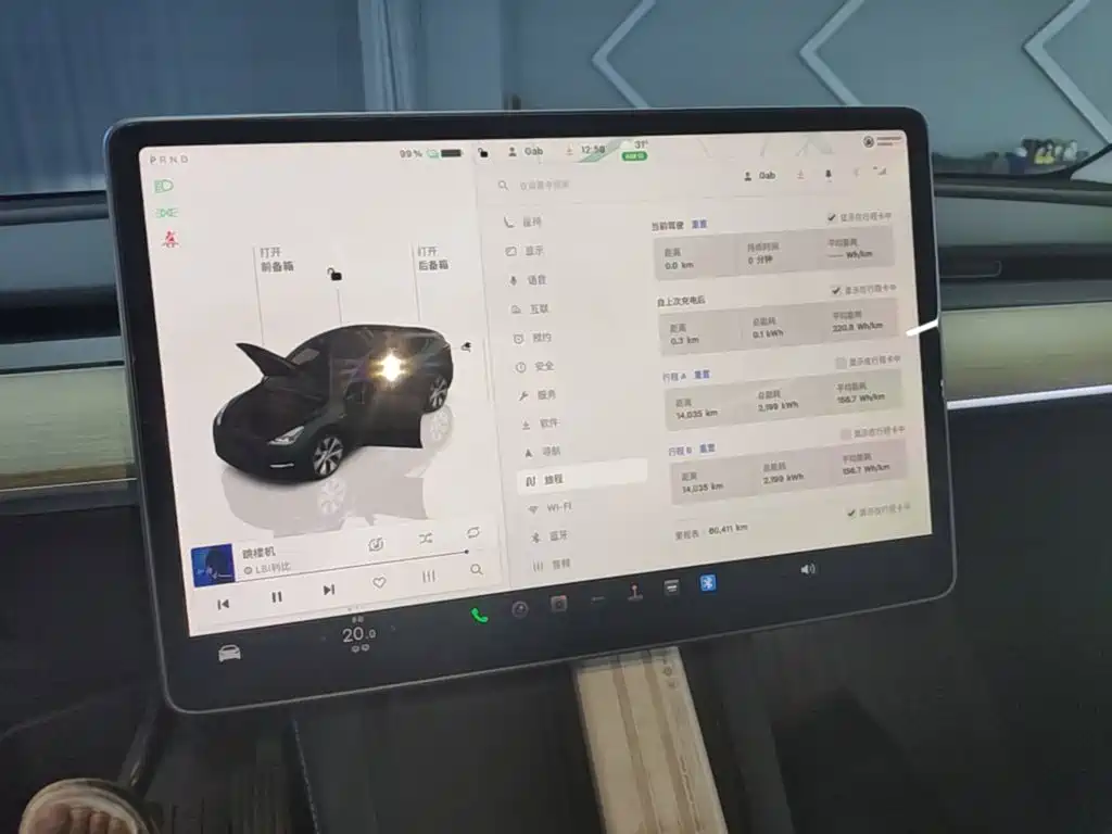 Tesla Model Y — миниатюра 12