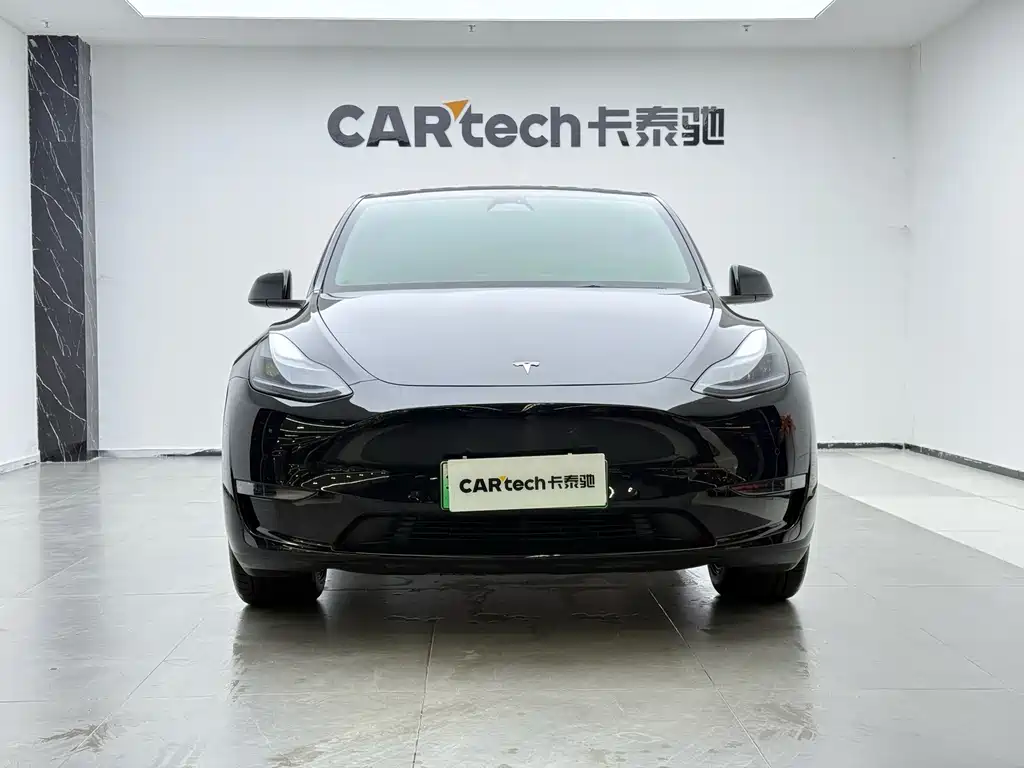 Tesla Model Y — миниатюра 3