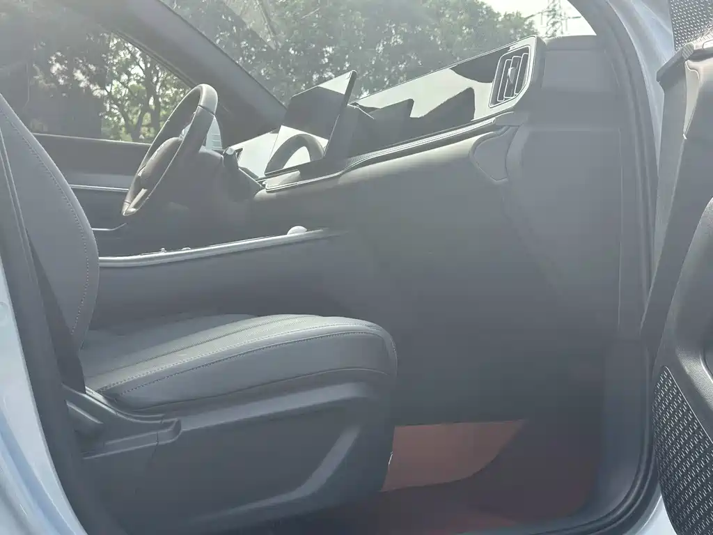 BYD Pro New Energy — миниатюра 15