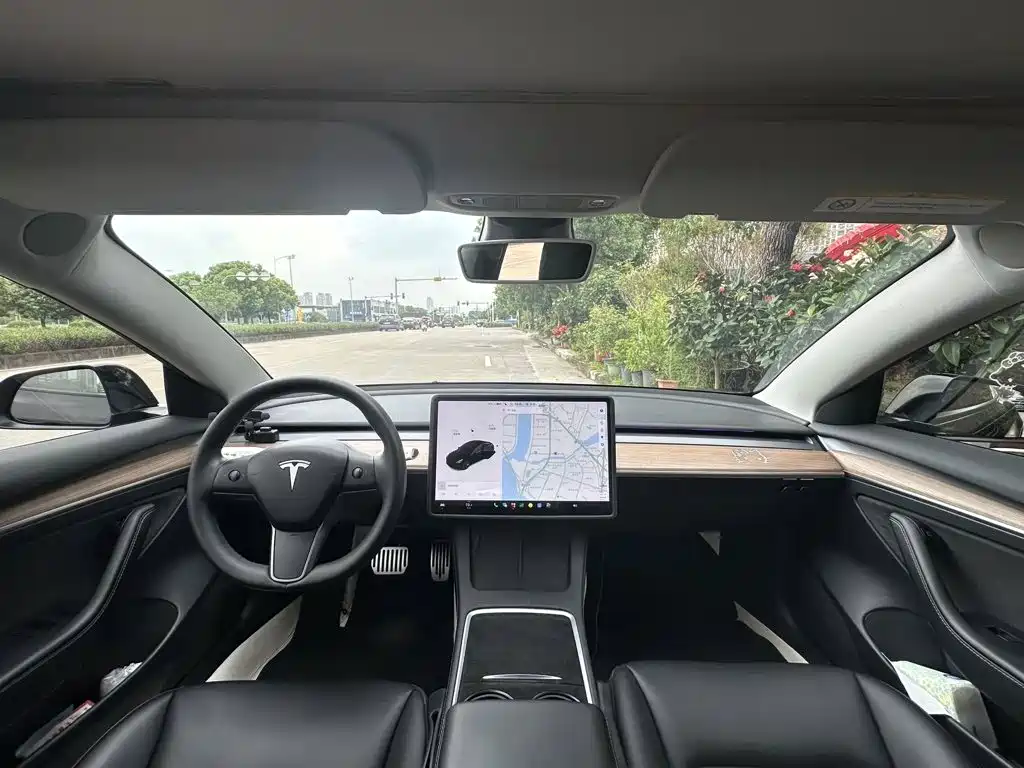Tesla Model 3 — миниатюра 3