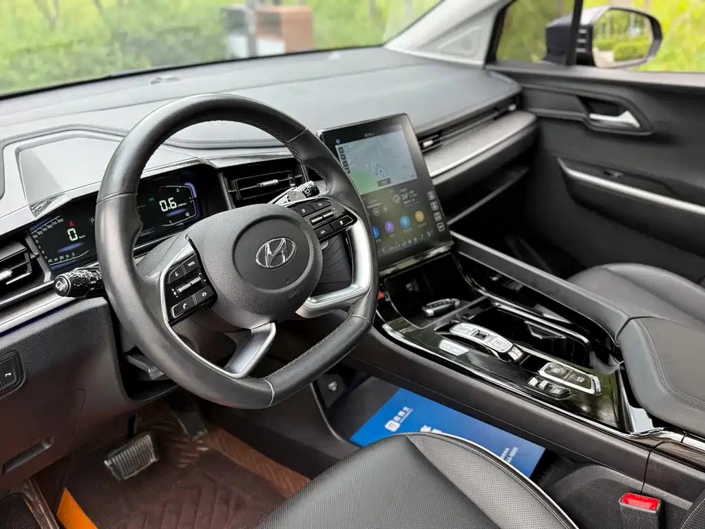 Hyundai Custo — миниатюра 17