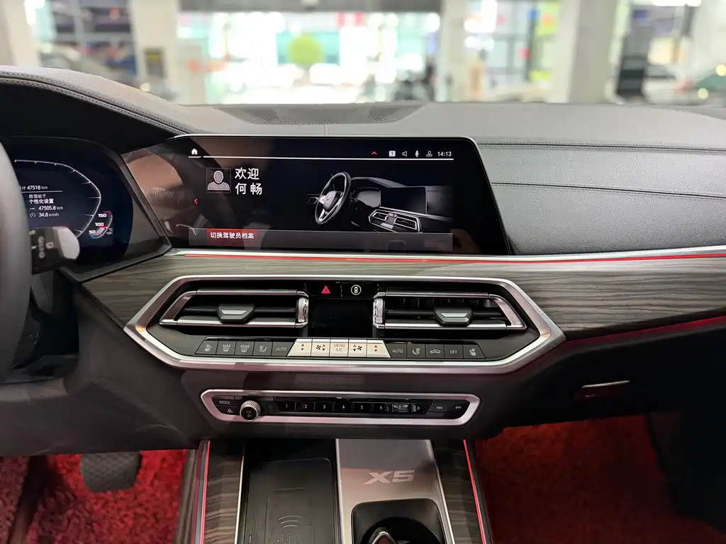 BMW X5 — миниатюра 9
