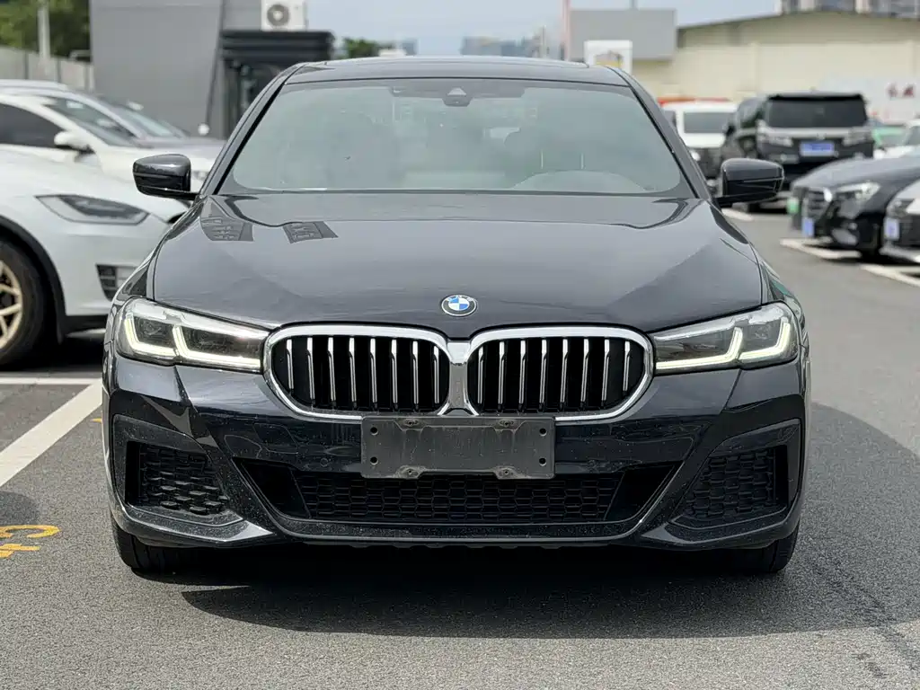 BMW 5 Series — миниатюра 2