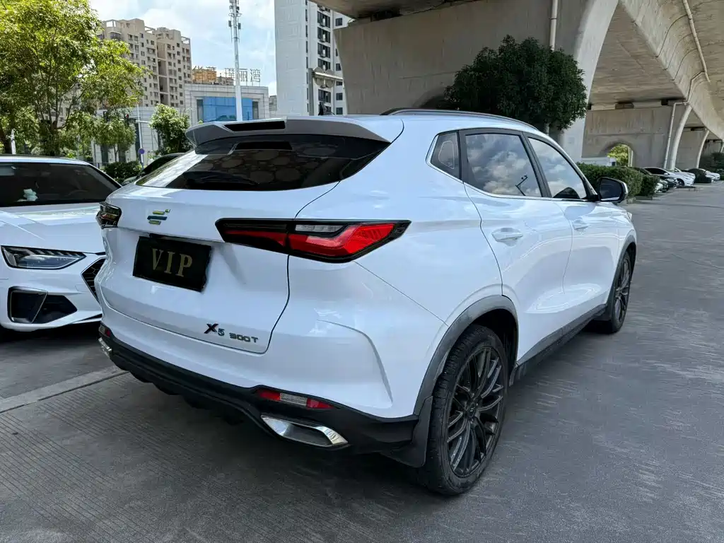 Oshan Oushang X5 — миниатюра 9