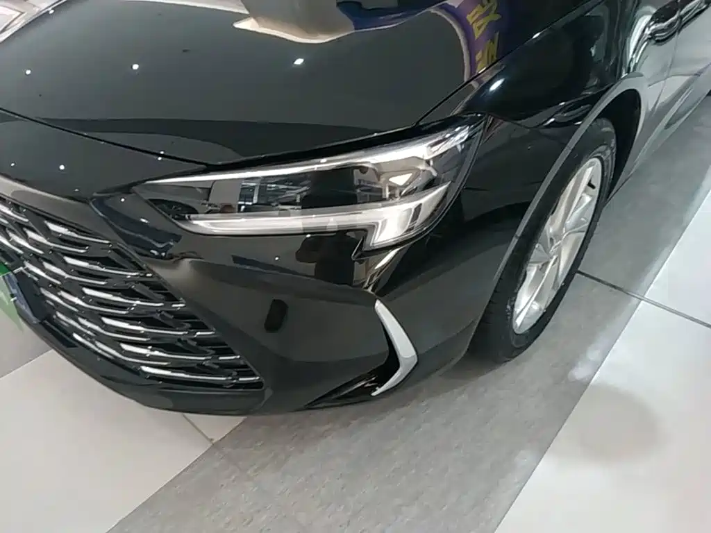 Buick Regal — миниатюра 24