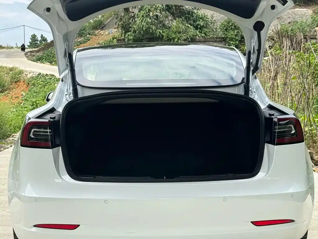 Tesla Model 3 — миниатюра 11