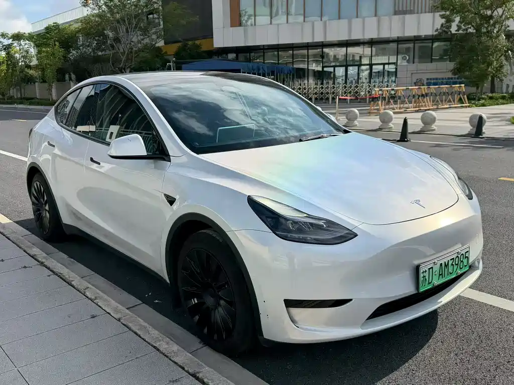 Tesla Model Y — миниатюра 2