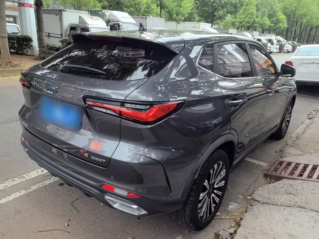 Oshan Oushang X5 — миниатюра 7