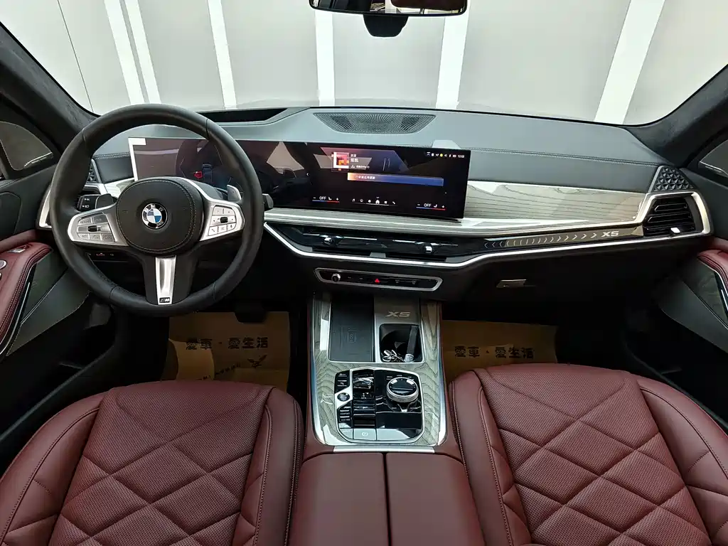 BMW X5 — миниатюра 9