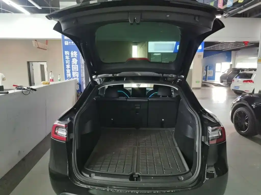 Tesla Model Y — миниатюра 19